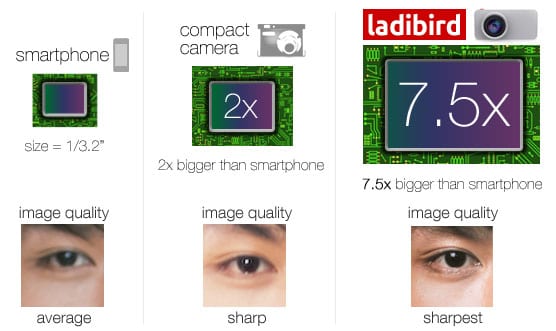 ladibird-01