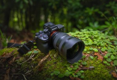 Die Sony A7r V in der Natur.