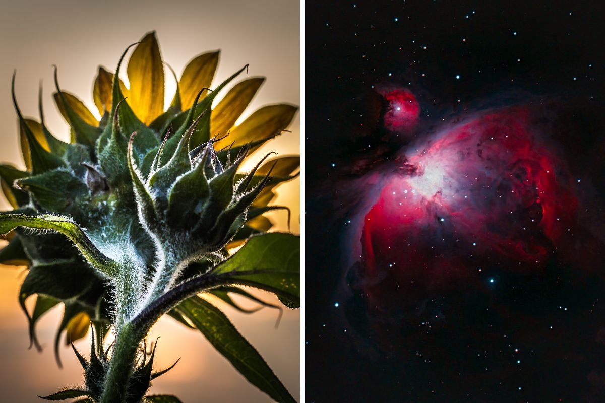 lesergalerie-das-waren-eure-fotos-f-r-dezember-2025